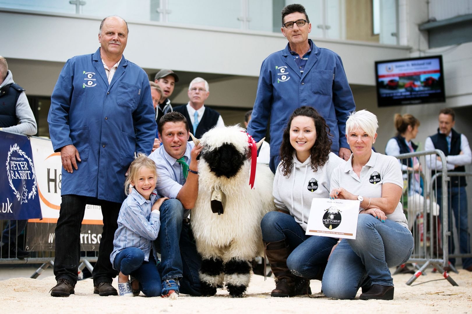 1st and Mazimum Ewe Prendwick Dawn