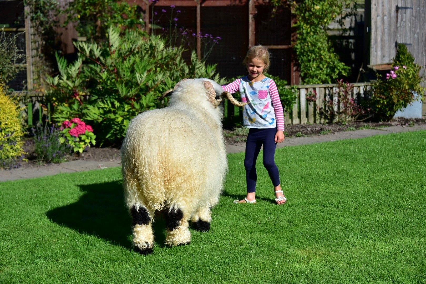 Photo 04-09-2016, 3 53 24 am.jpg